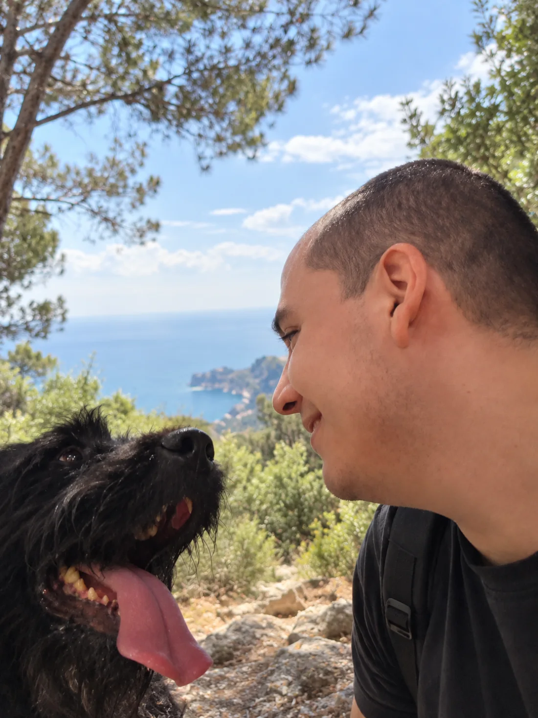 Tonton Canin de profil, face à un grand chien noir à poil long, sur un sentier surplombant la mer