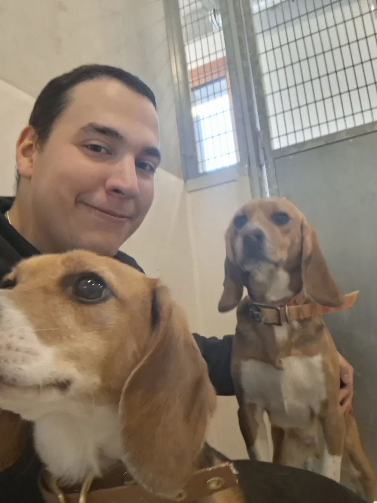 Tonton Canin entre deux beagles attentifs