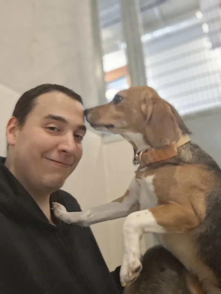 Un beagle posant ses pattes avant sur l'épaule de Tonton Canin