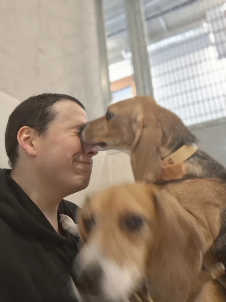 Un beagle approchant son museau du nez de Tonton Canin