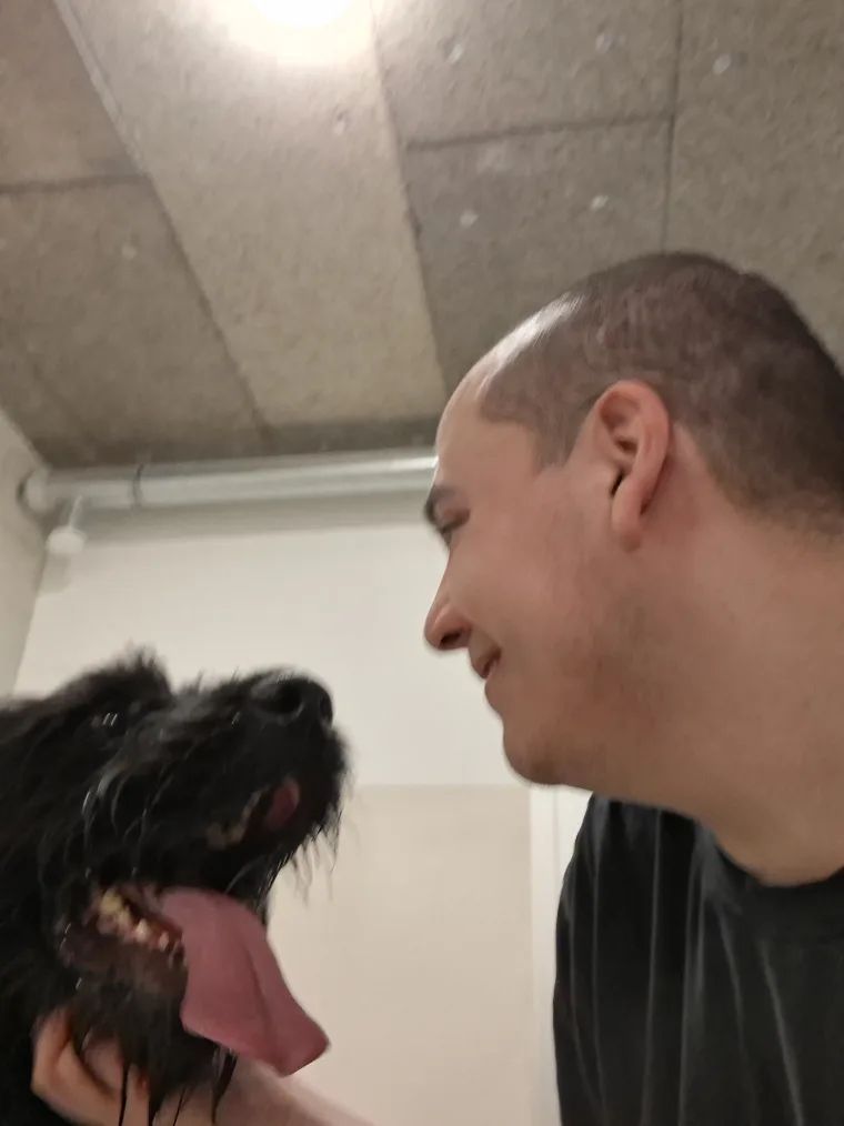 Tonton Canin et un grand chien noir se regardant, face à face
