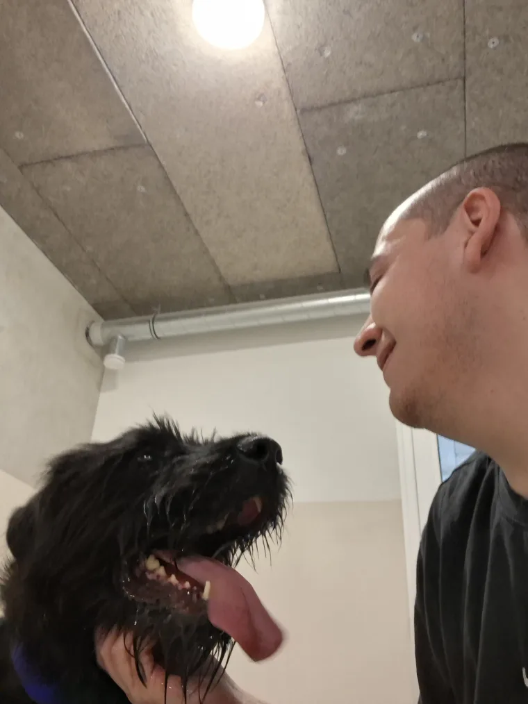 Tonton Canin et un grand chien noir, de profil tous les deux