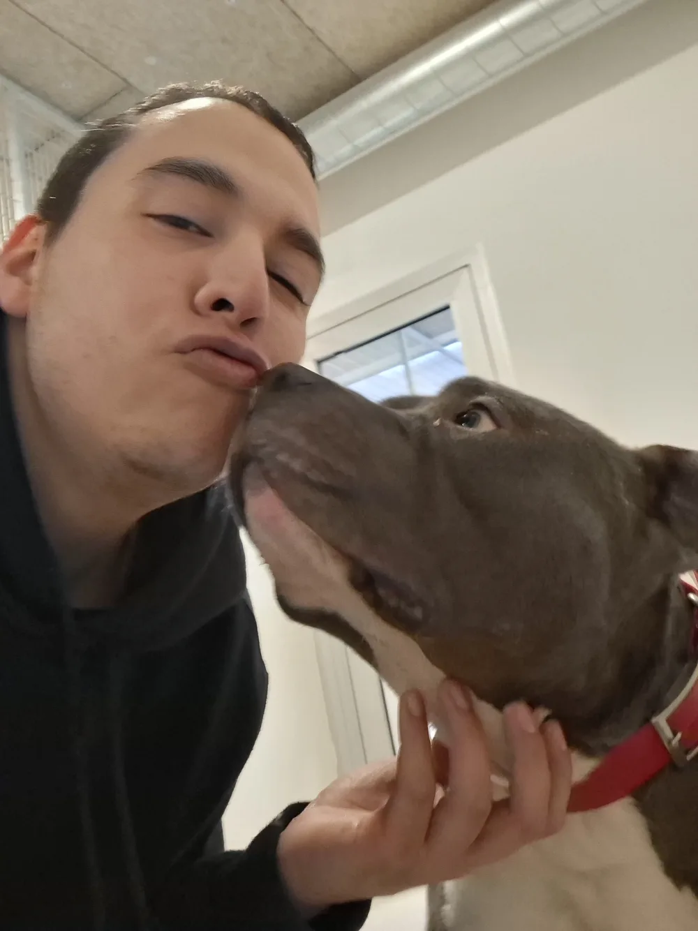 Un chien brun léchant le visage de Tonton Canin, à l'intérieur